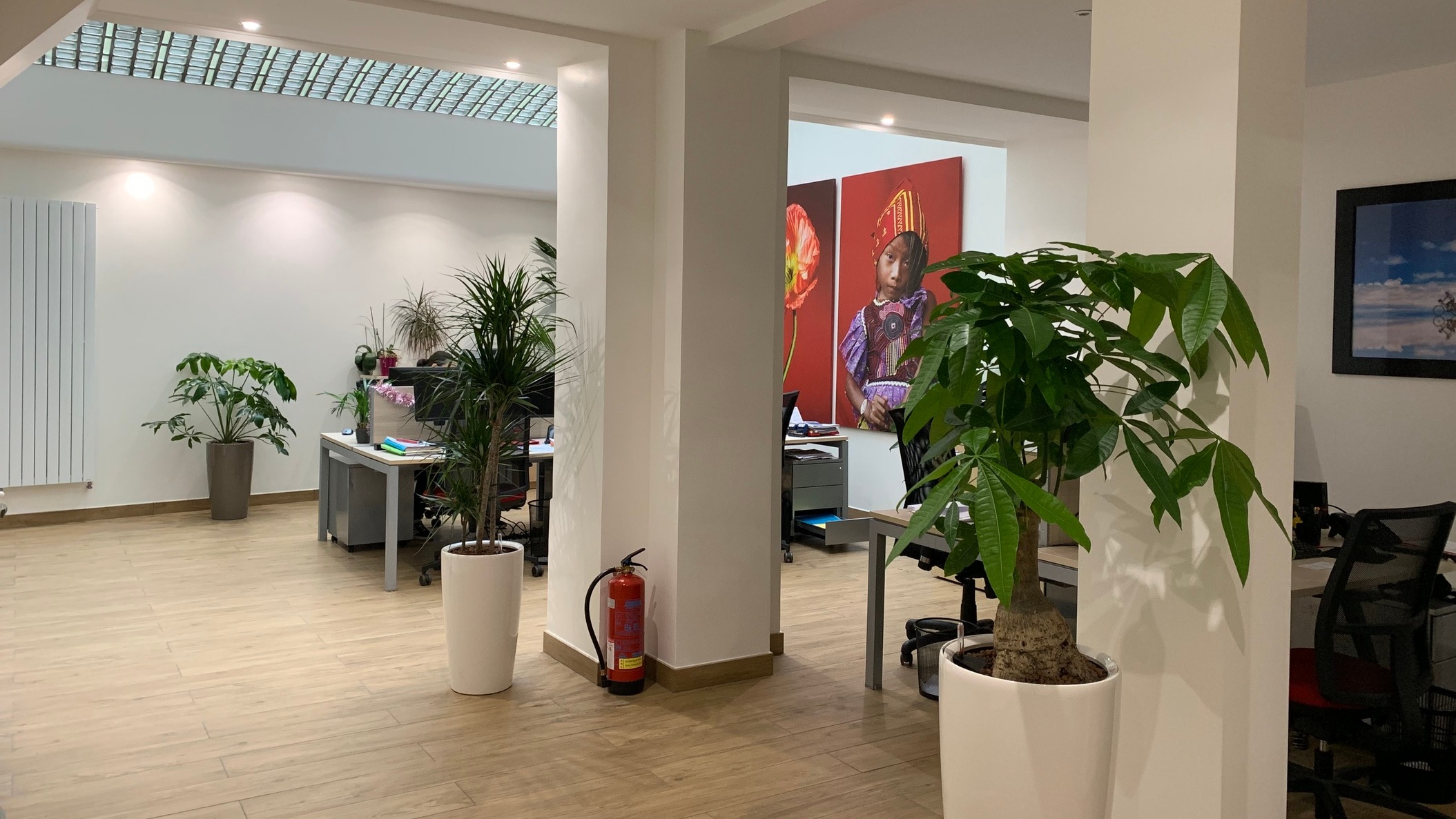 Magasin Benjamin Proux et Oana Horge - Paris (75015) Visuel 2